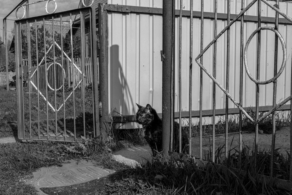 Photograph by Наталья Сафронова