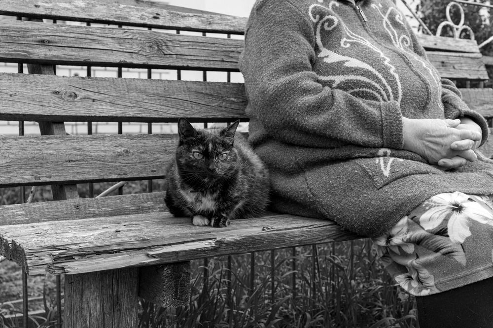 Photograph by Наталья Сафронова