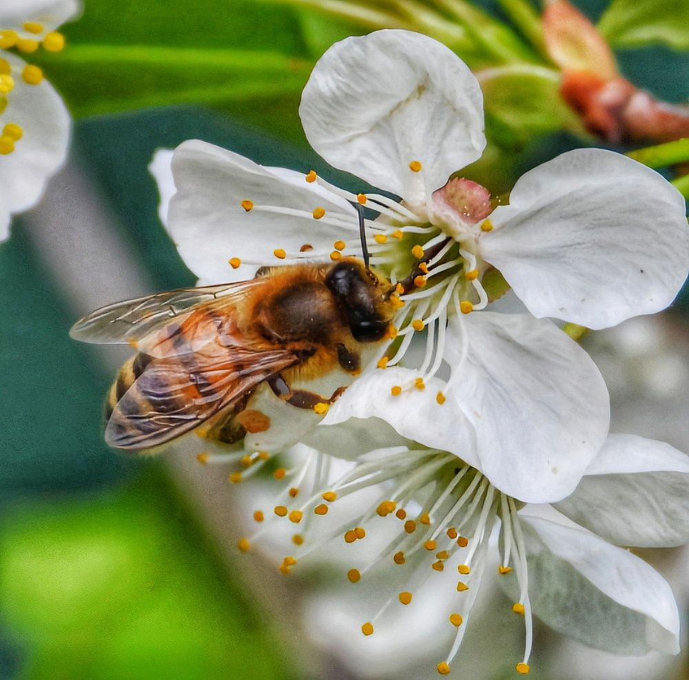 Photograph by Александр Шаварин
