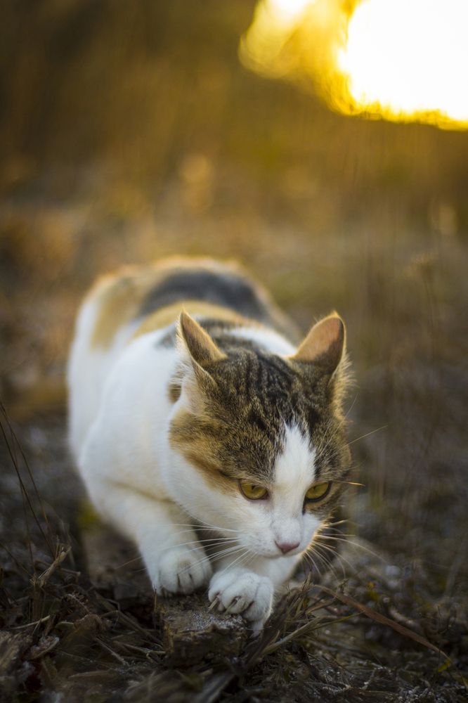 Photograph by Елена Фатьянова