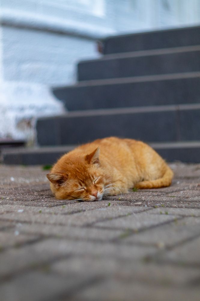 Фотография автора Aamoda Kitchen