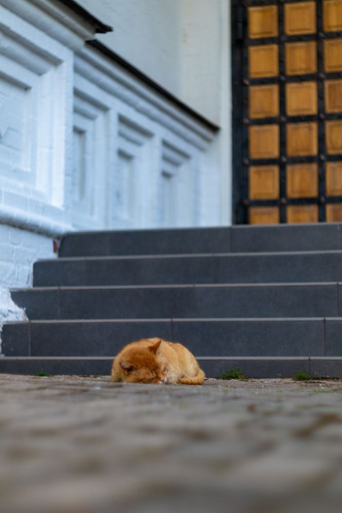 Фотография автора Aamoda Kitchen