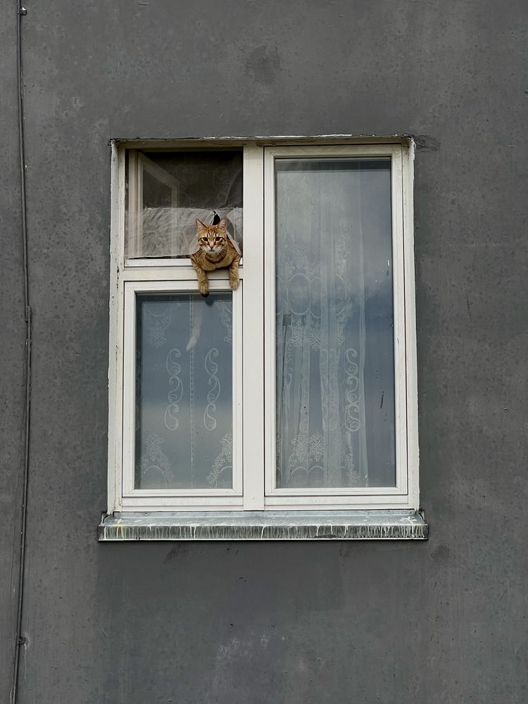 Photograph by Ольга Филатова