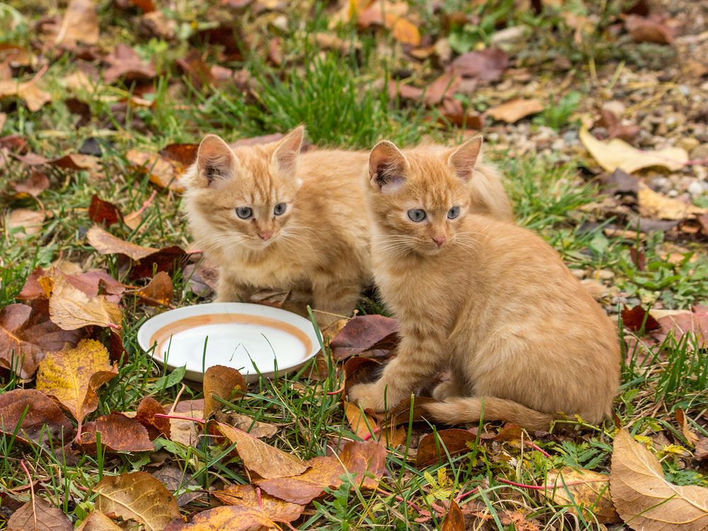 Фотография автора Борис Журавлёв