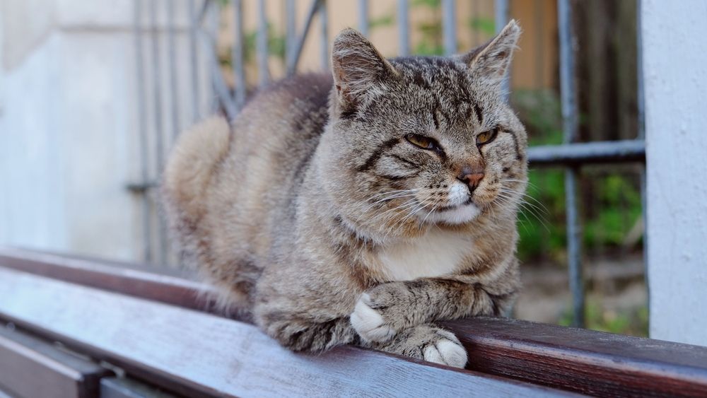 Photograph by Наталия Питолина