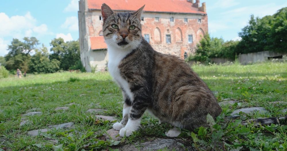 Photograph by Наталия Питолина