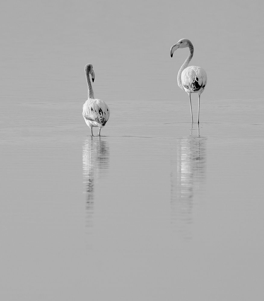 Photograph by Boris Bekelman
