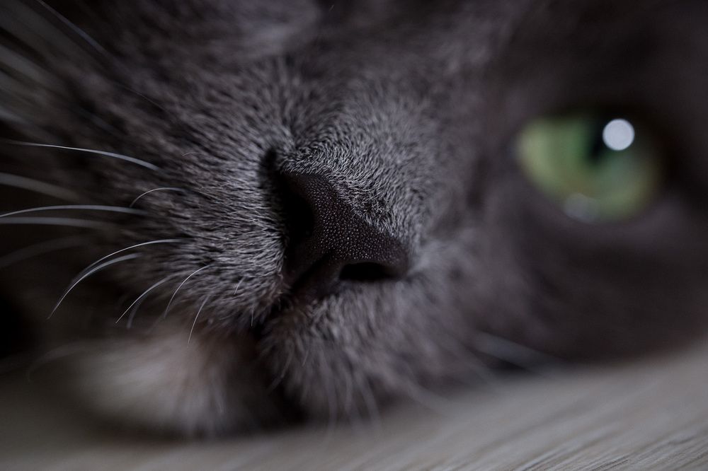 Photograph by Алексей Кацан