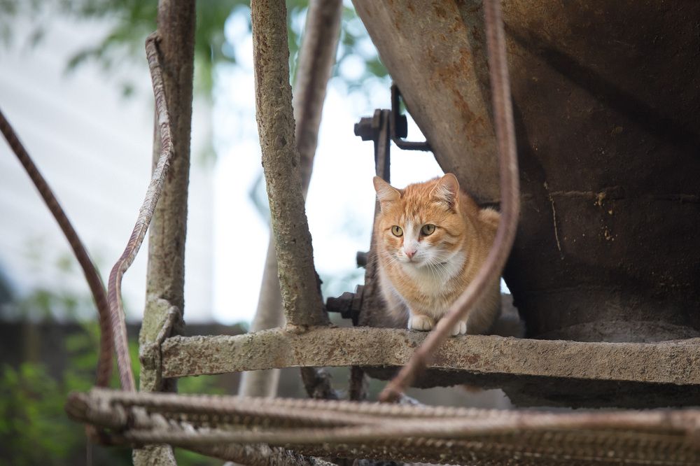 Photograph by Алексей Кацан