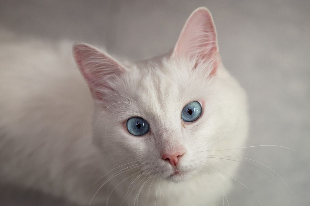 Photograph by Алексей Кацан