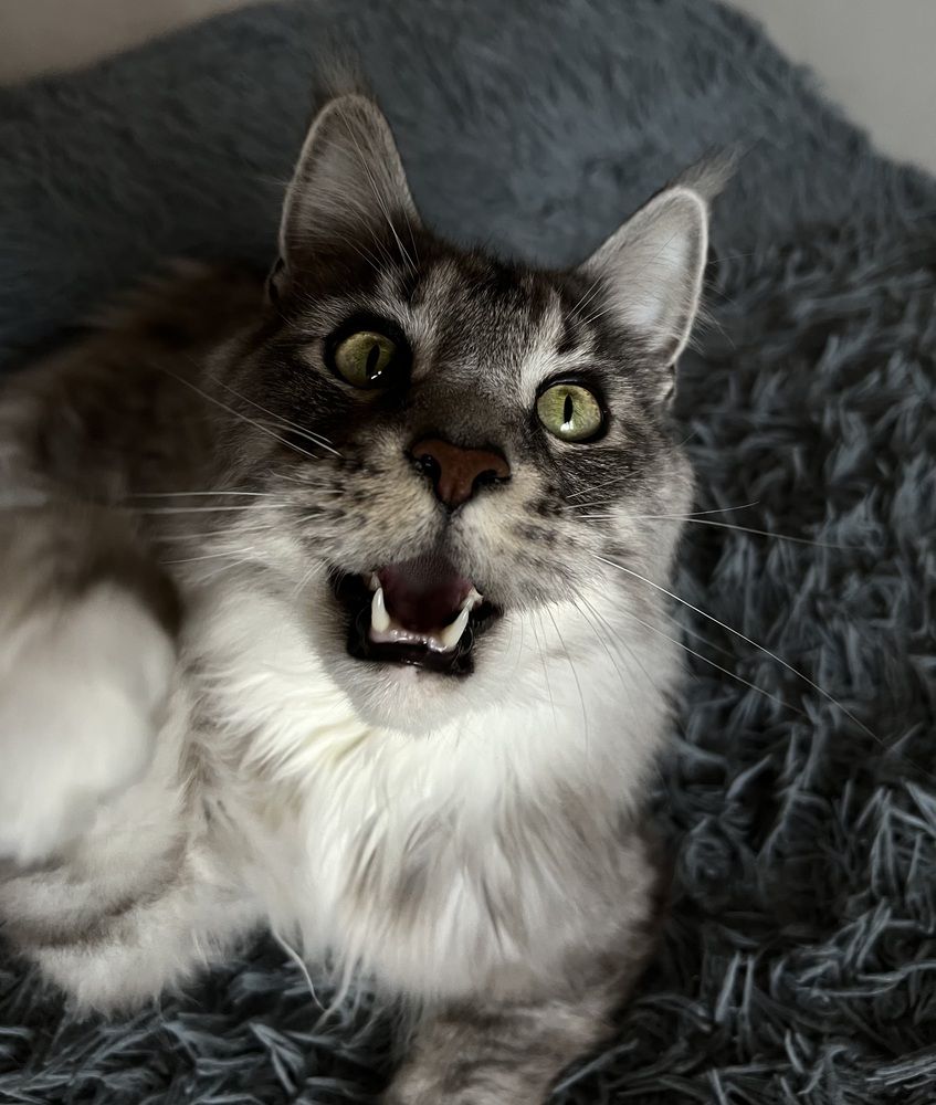 Photograph by Ирина Чайковская