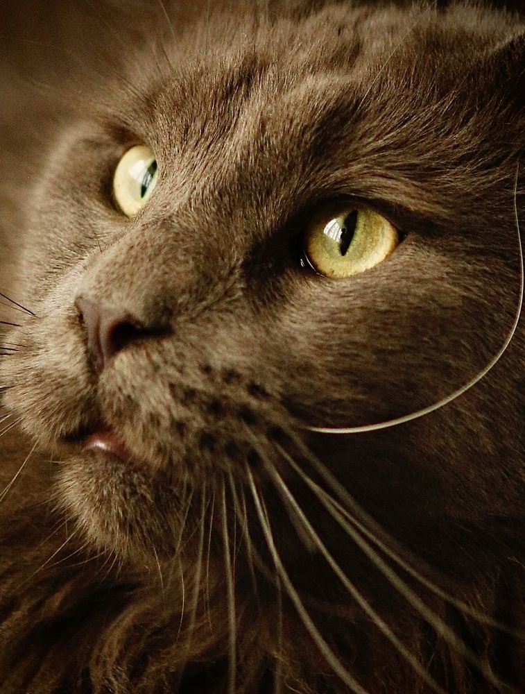 Photograph by Ирина Чайковская