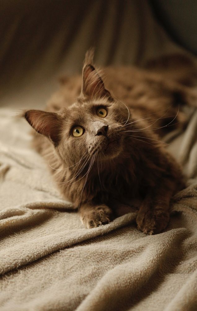 Photograph by Ирина Чайковская