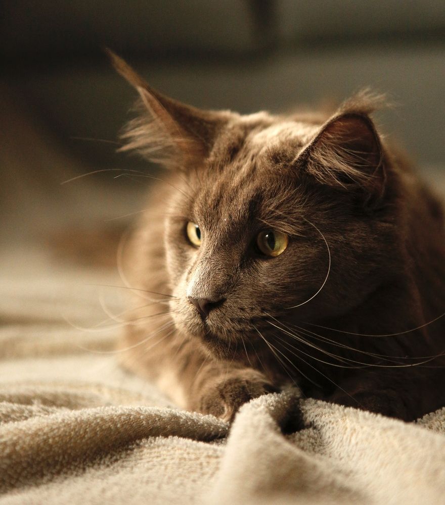 Photograph by Ирина Чайковская