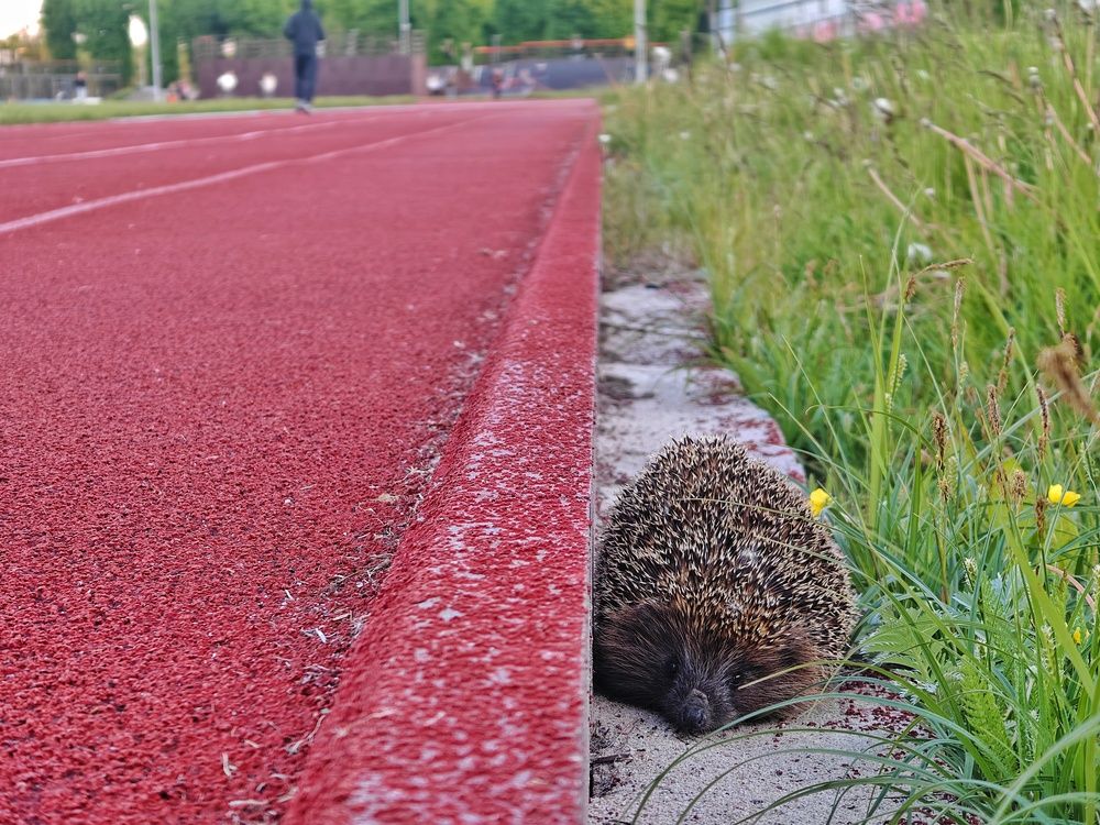 Photograph by Вячеслав Рудинский