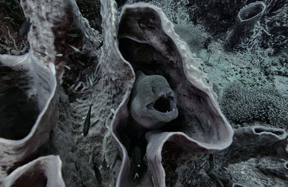 Photograph by Игорь Чернышов