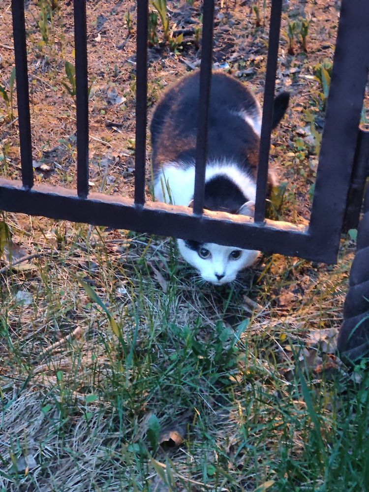 Photograph by Olena Chertous