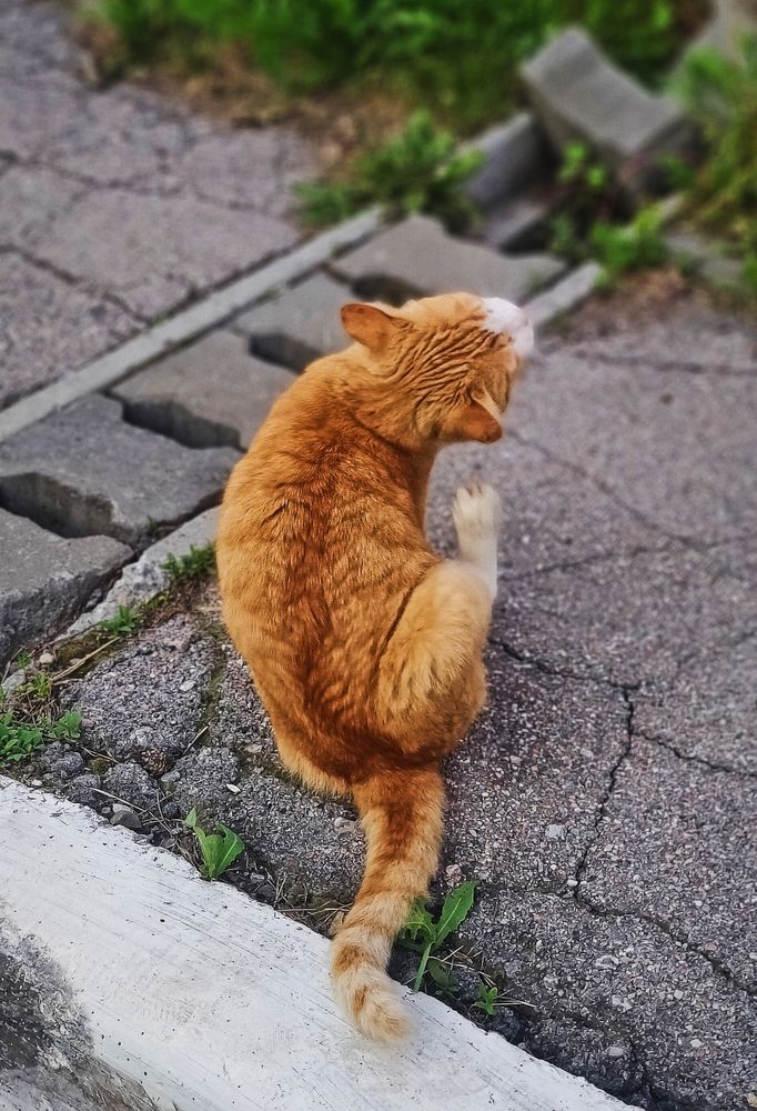 Photograph by Olena Chertous