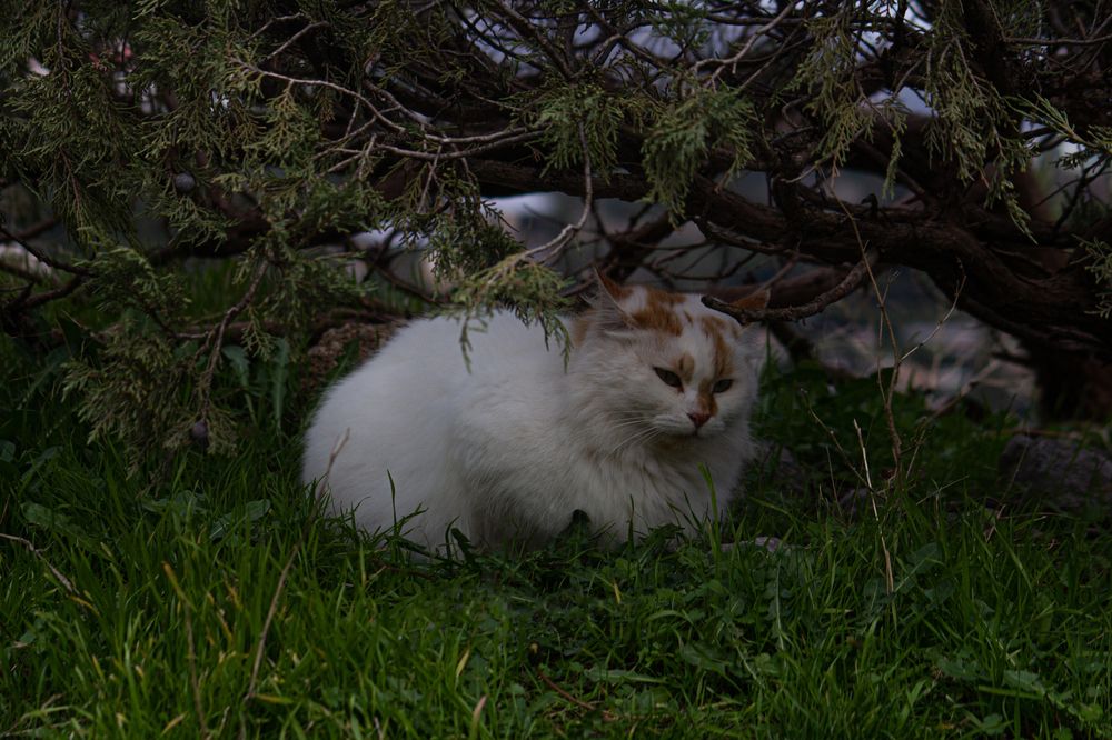 Photograph by Анна Лукина