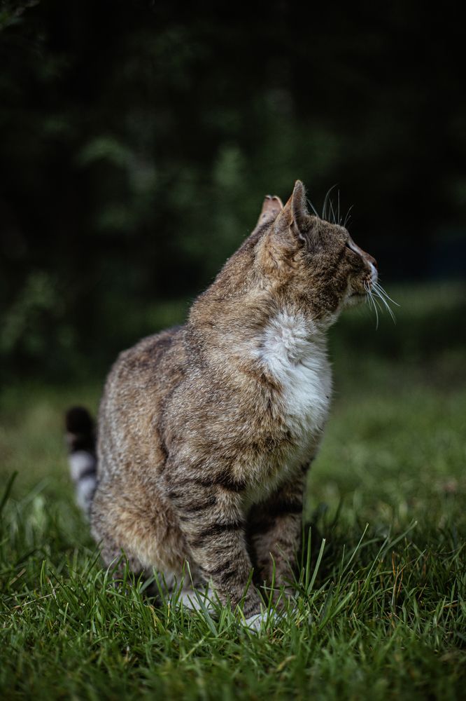 Photograph by Дмитрий Томин