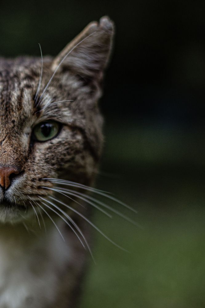 Photograph by Дмитрий Томин