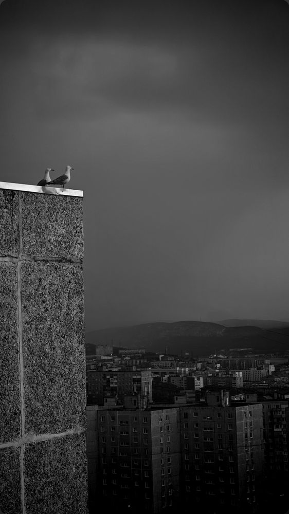 Photograph by Диана