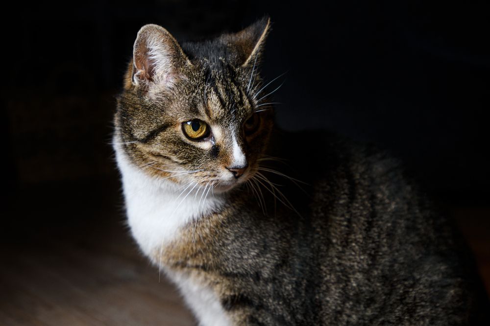 Photograph by Elena Papadopoulou