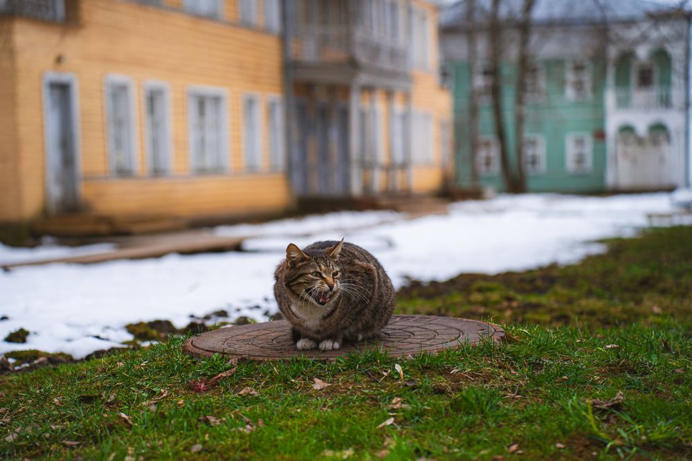 Photograph by Елена Савенкова