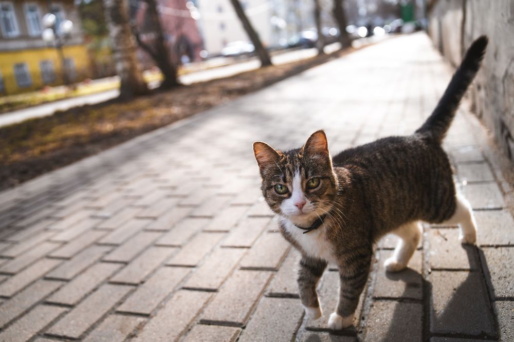 Photograph by Елена Савенкова