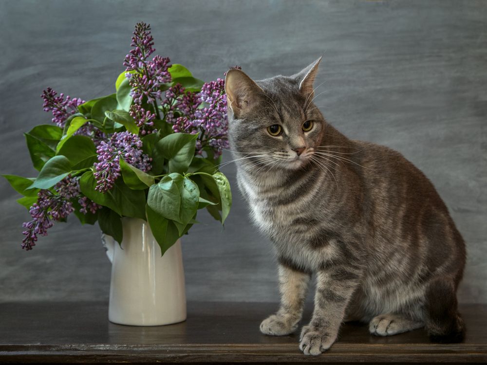 Photograph by Сергей Алексеев