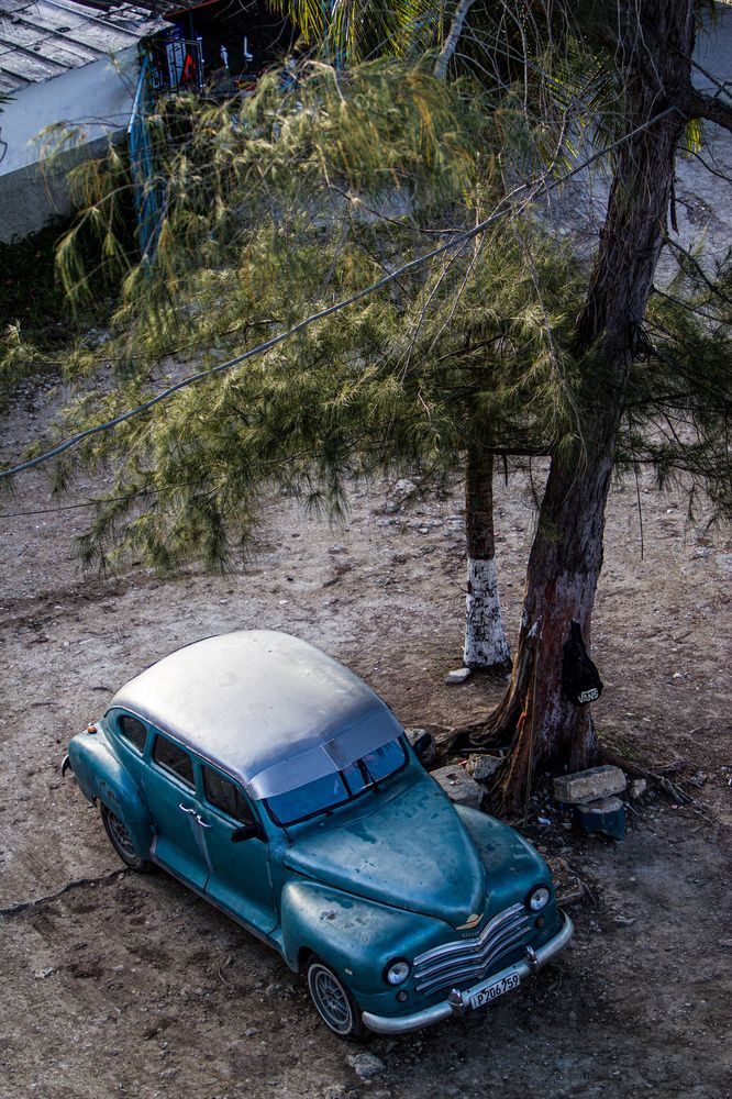 Photograph by Evelyn Carnot Montes