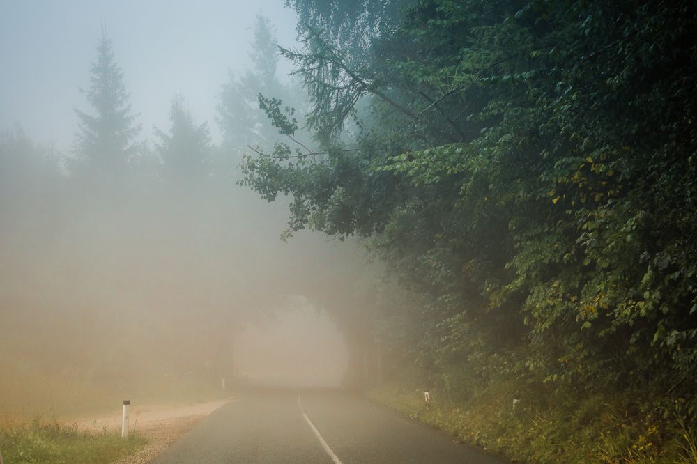 Фотография автора Светлана Котлярова