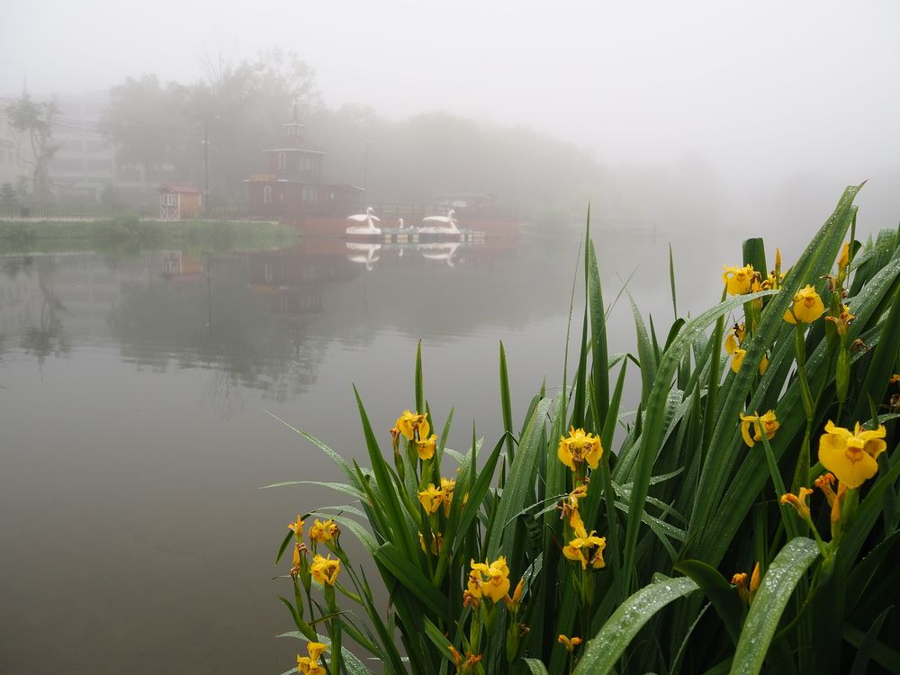 Фотография автора Olena Vorotyntseva