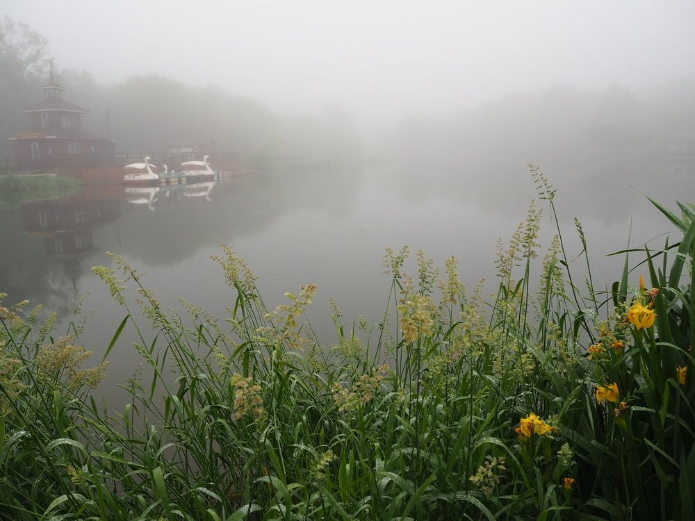 Фотография автора Olena Vorotyntseva