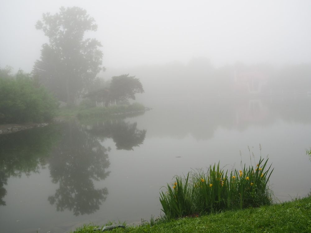 Фотография автора Olena Vorotyntseva