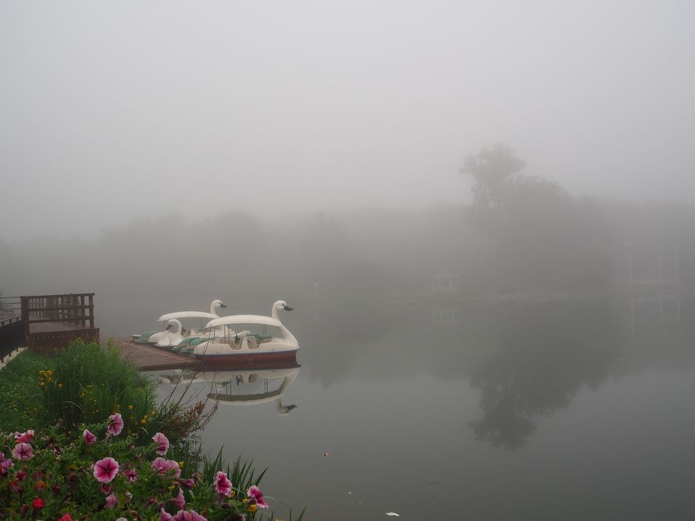 Фотография автора Olena Vorotyntseva