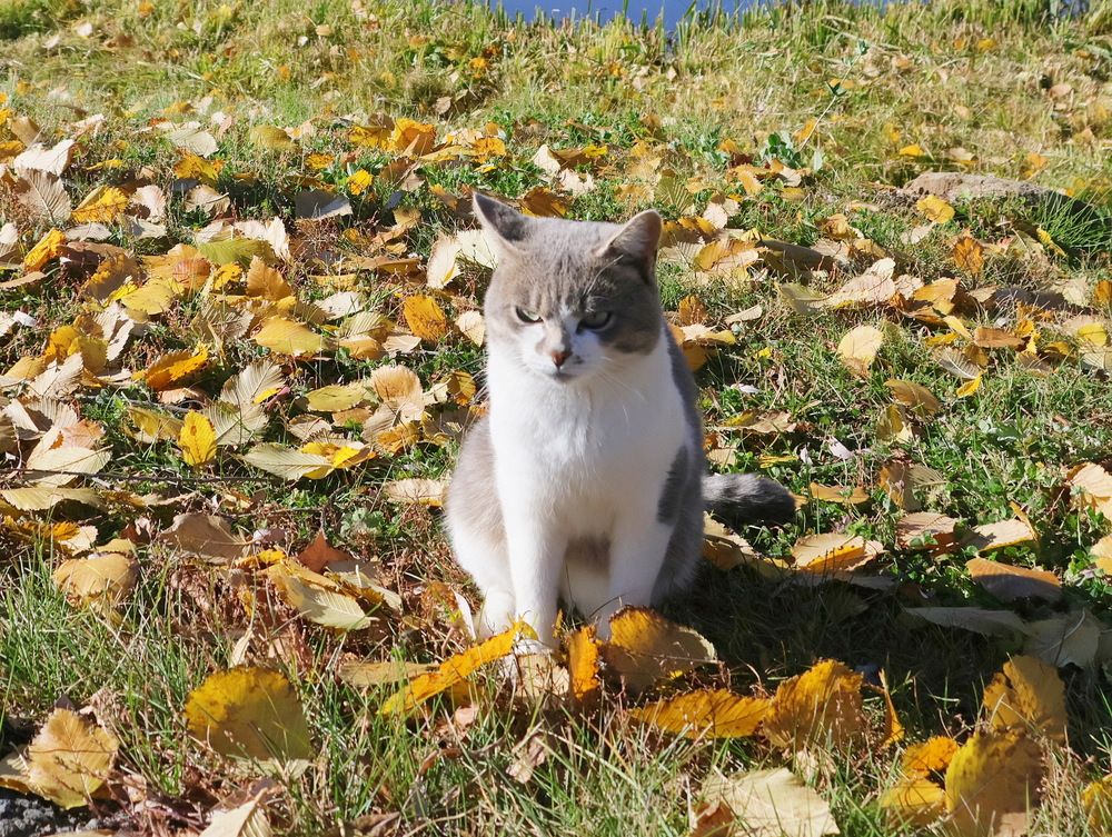 Photograph by Серёга Ануфриев