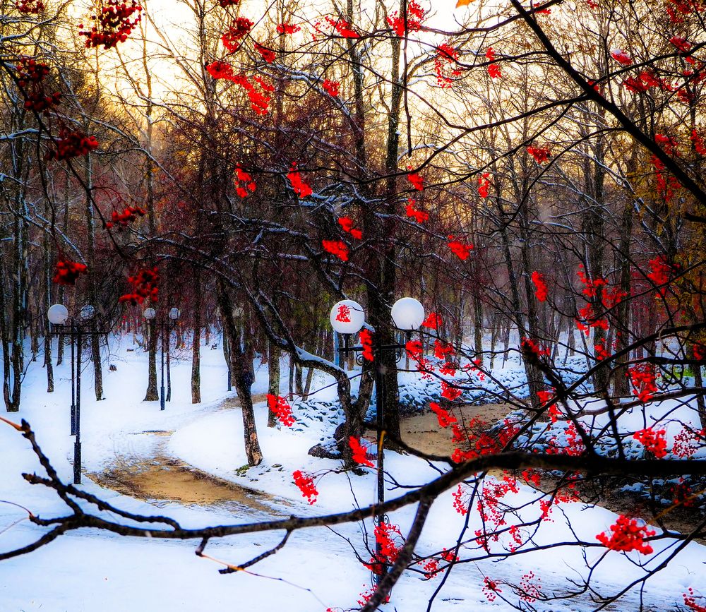 Рябиновые аллеи