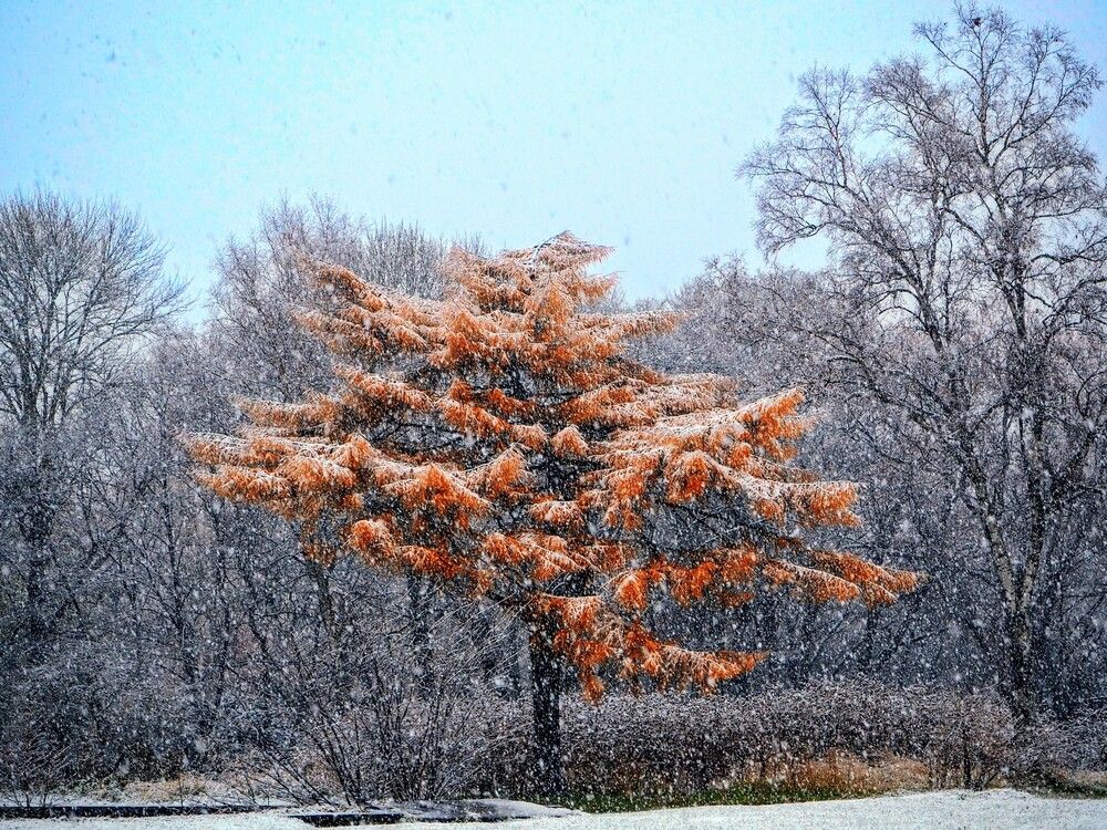 Photograph by Olena Vorotyntseva