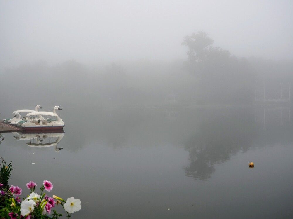 Фотография автора Olena Vorotyntseva