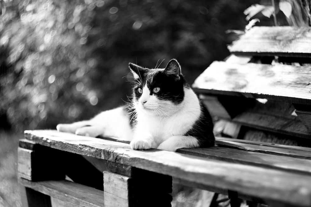 Photograph by Леонид Уральский