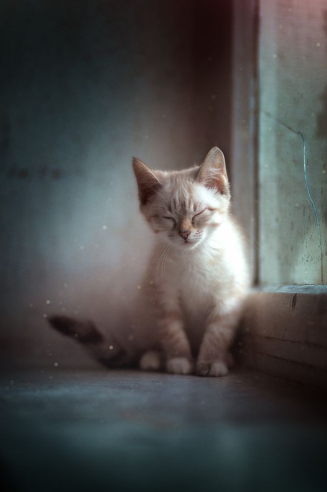 Photograph by Холудеев Виктор