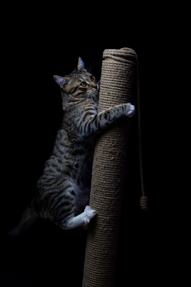 Photograph by Олег