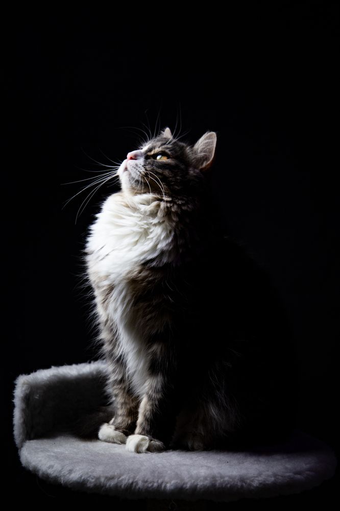 Photograph by Олег