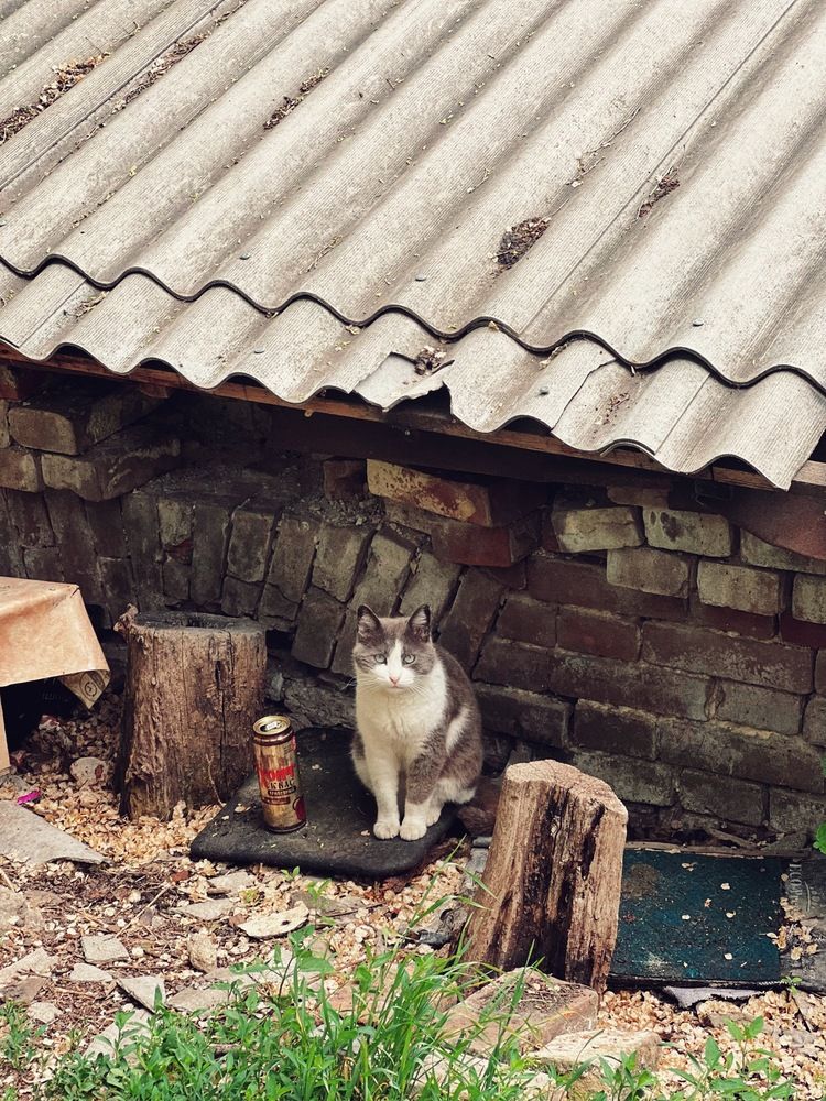 Photograph by Яна Сел