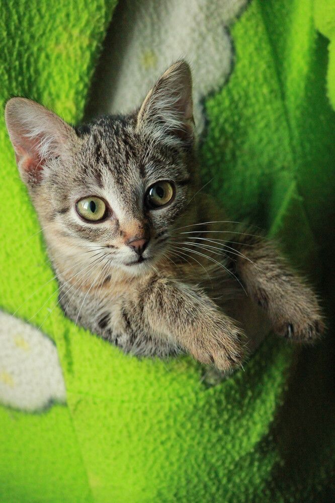 Photograph by Елена Сиднина