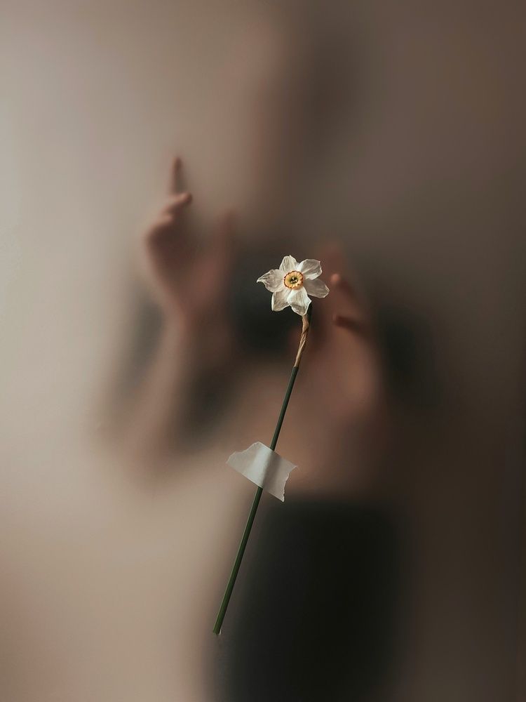 Photograph by Татьяна Шахова