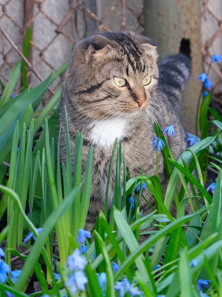 Photograph by Ирина Дегтярева