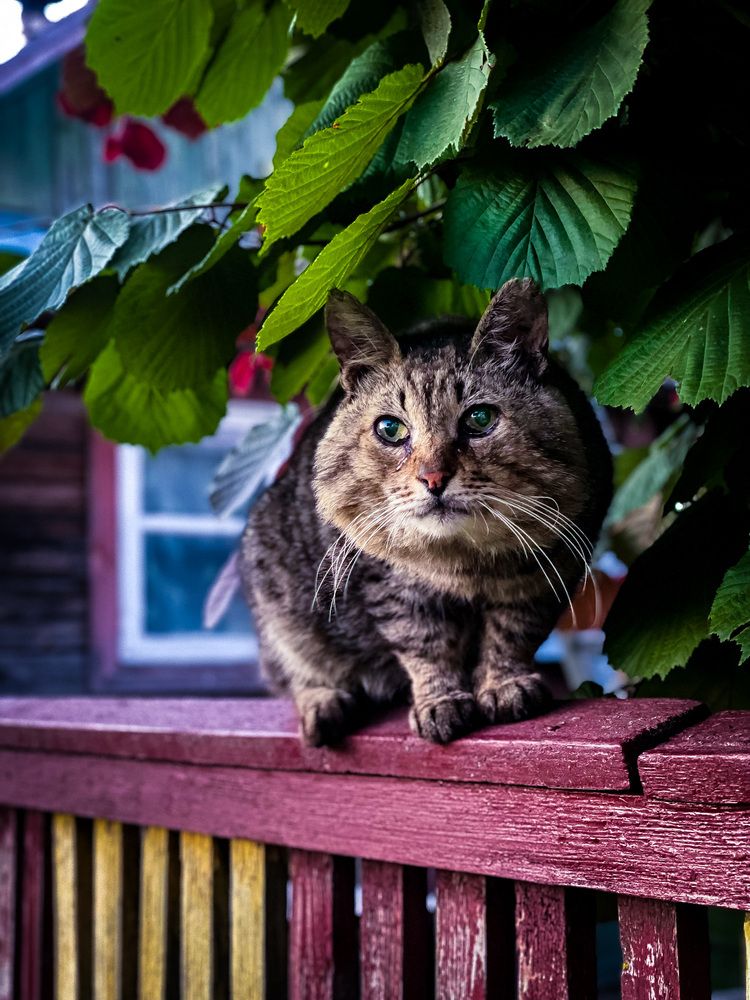 Photograph by Анна Пигулевская