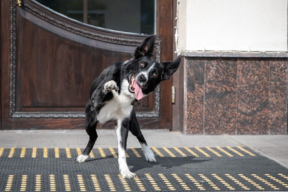 Photograph by Татьяна Арендаренко
